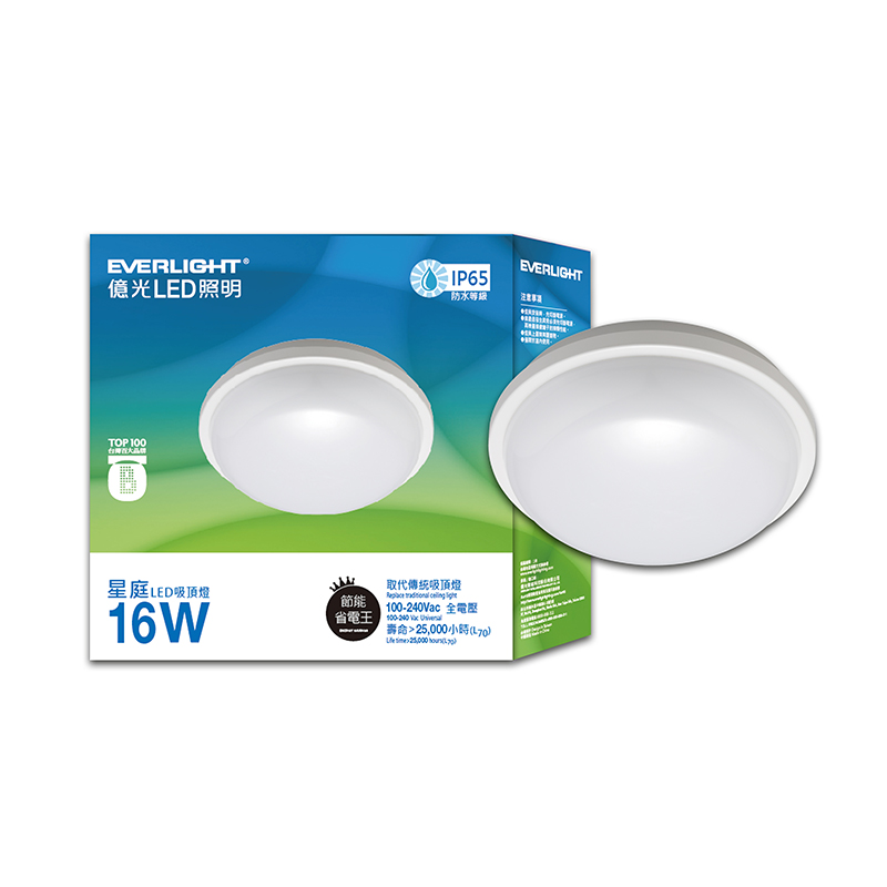 Everlight  16W LED IP65 Celing Lamp, , large