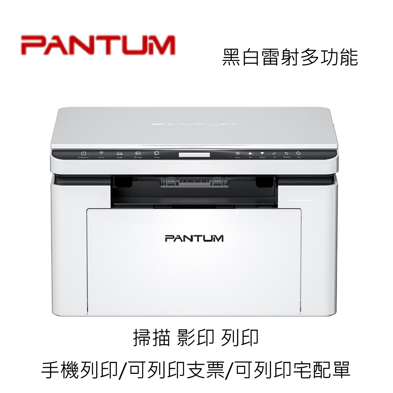 PANTUM, , large