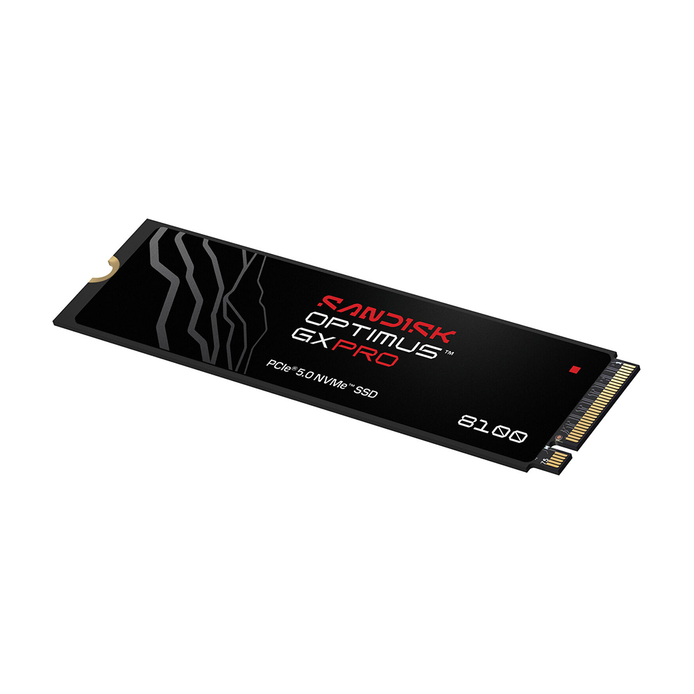 【SanDisk】Optimus GX PRO 8100 NVMe 4TB 無散熱片 SSD M.2 2280 代理商保固公司貨, , large