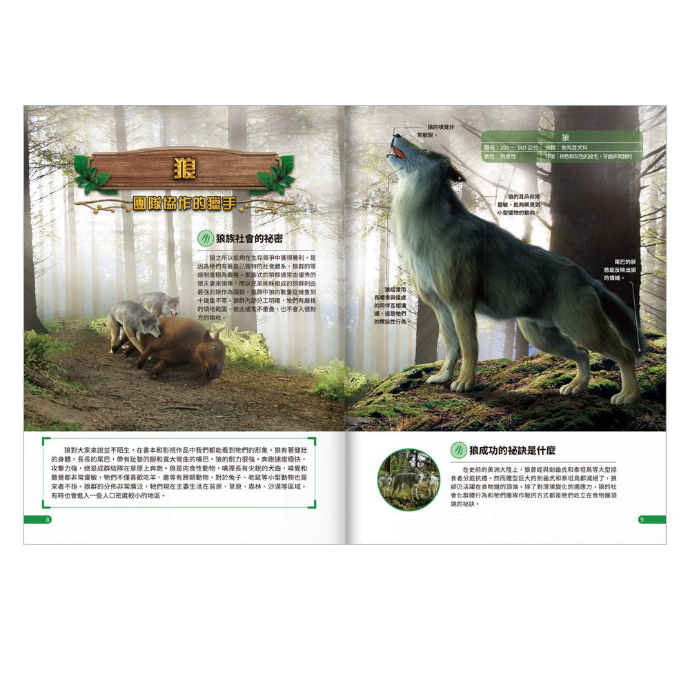 [風車圖書] 動物大百科, , large