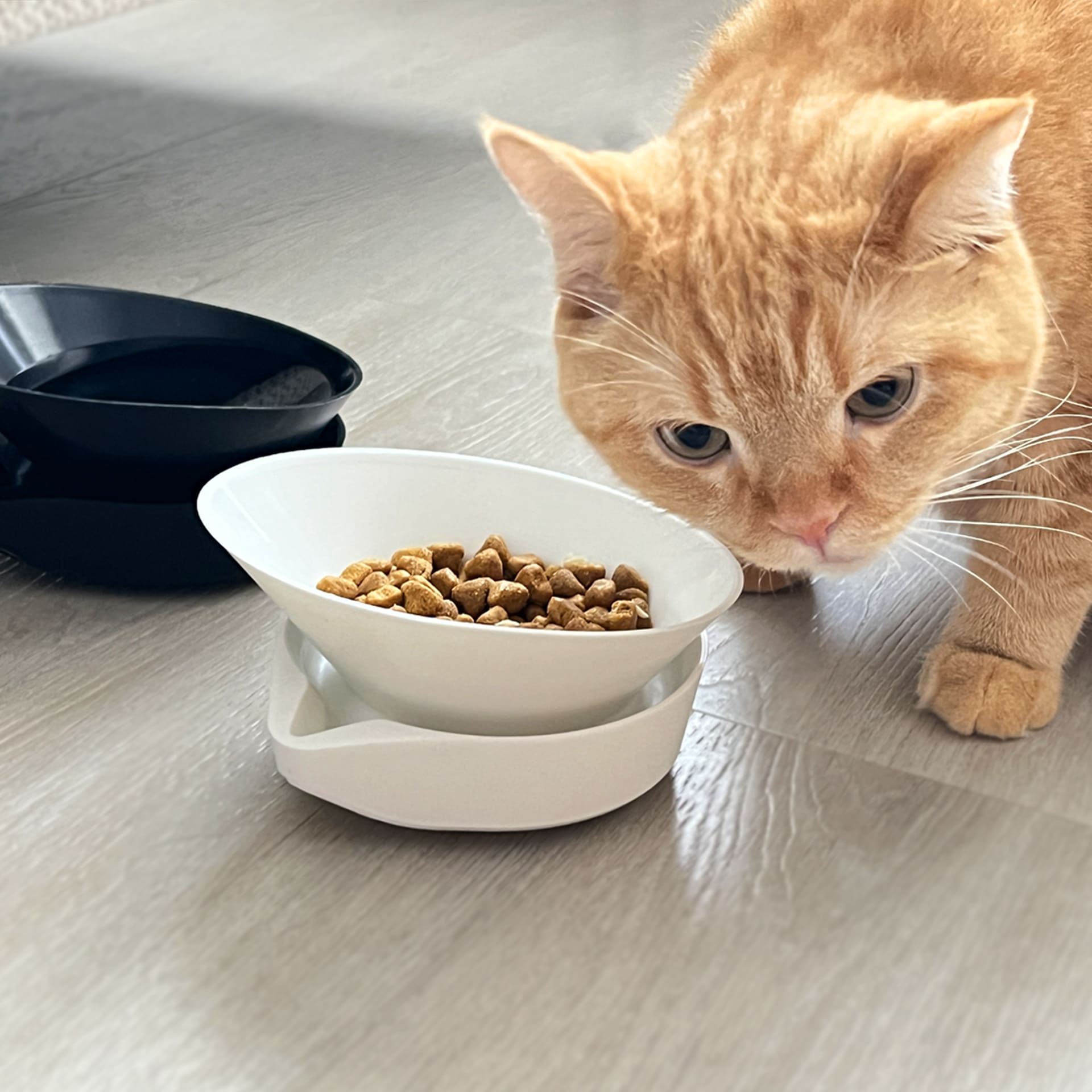[HhL] MASTER BOWL | Ant-Proof Pet Bowl / One Bowl (White), , large
