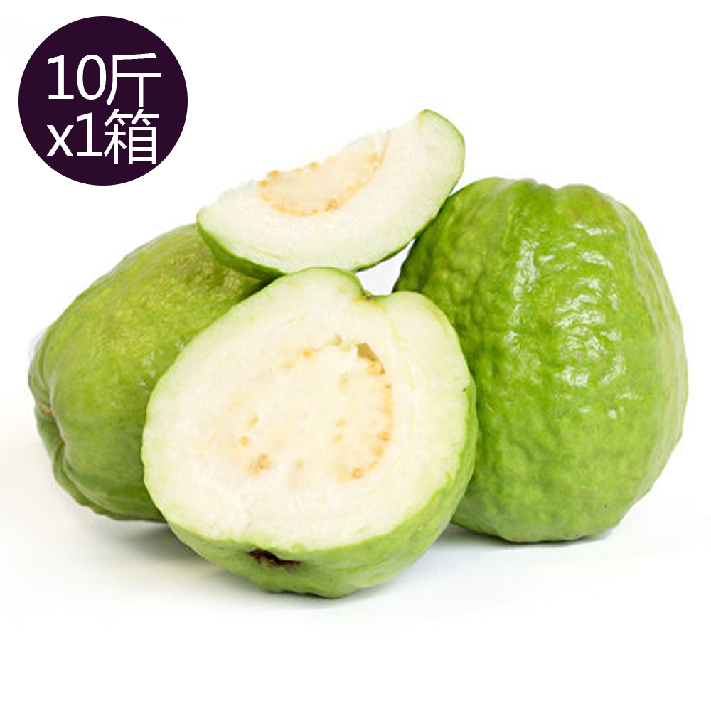 [永全鑫]果之家高雄燕巢牛奶芭樂珍珠芭樂10台斤(約12-16顆入), , large