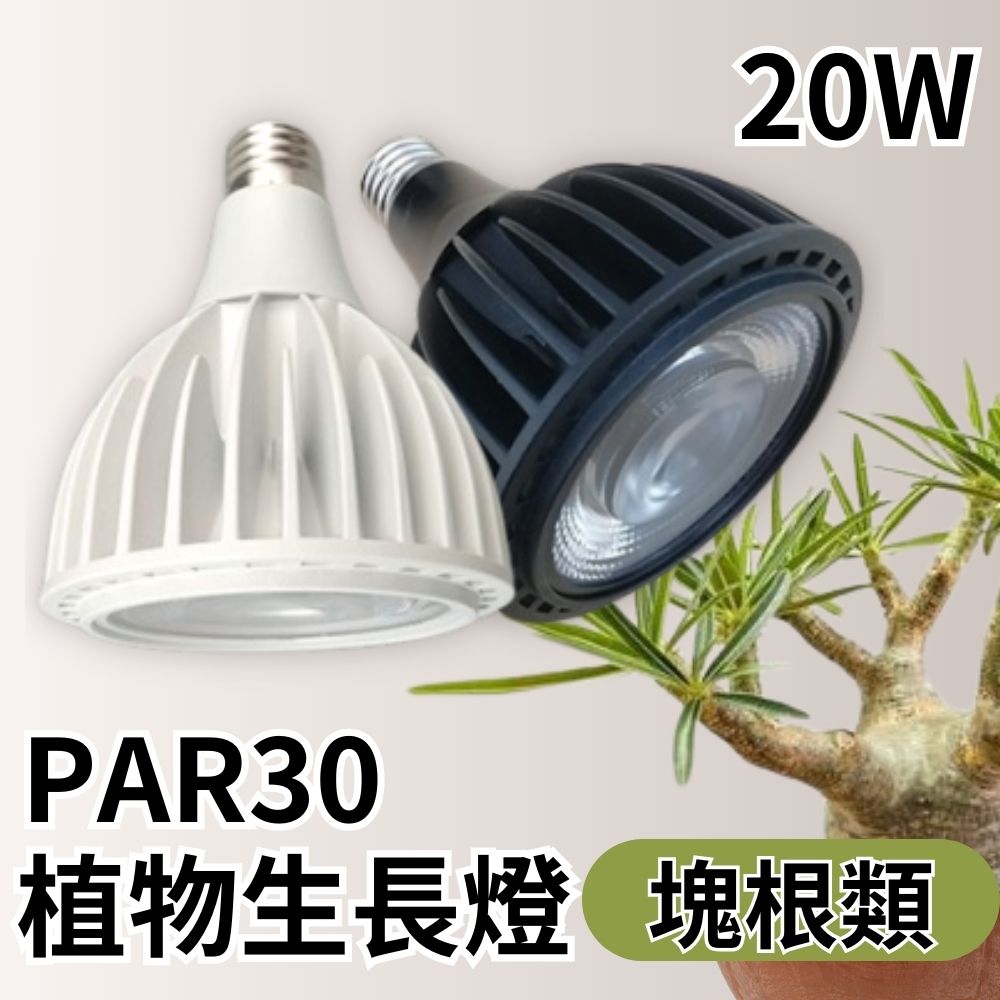 【君沛植物燈】嚴選 5000K白光 PAR30 LED 20W 聚光燈泡 (K1光譜) 高PPFD 適用塊根、龍舌蘭, , large