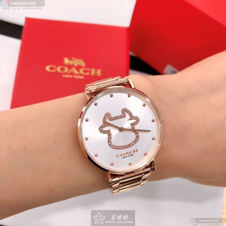 [TIMEMASTER] COACH watch, 36mm, CH00018, , large