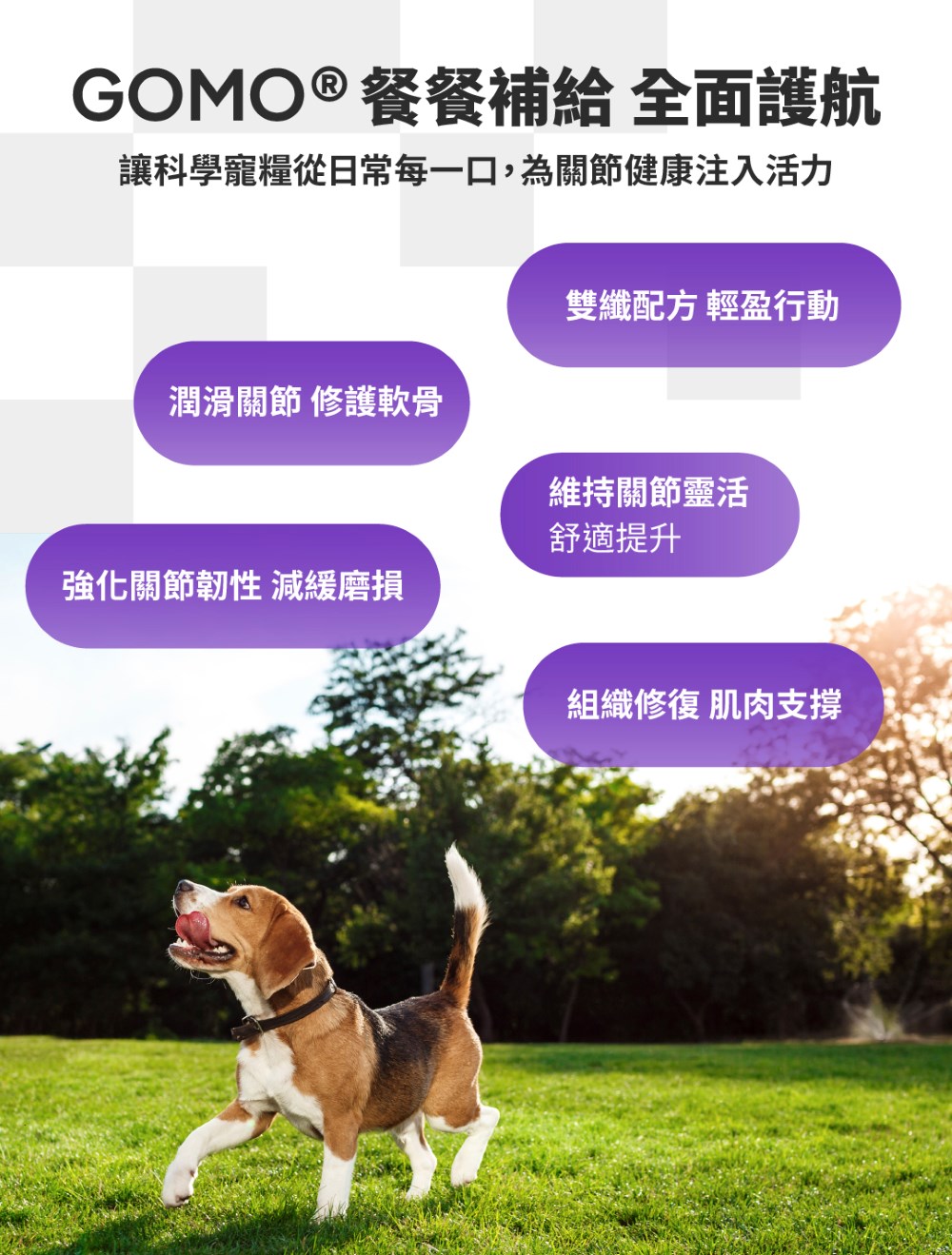 【GOMO PET FOOD】關節護動/成犬無穀高纖關節配方4.2kg 狗飼料 狗糧, , large