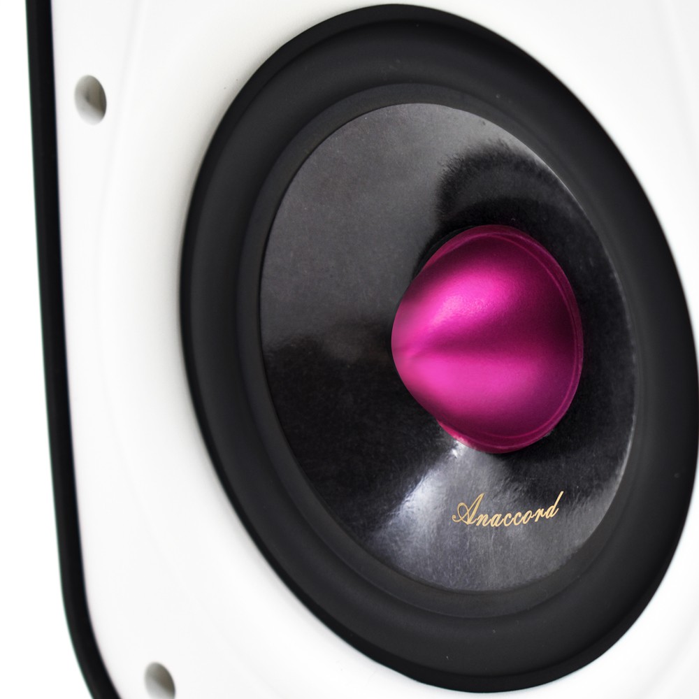 Anaccord 雅那歌音響 RUBY DC-B5| 桌上型重低音防水喇叭一組｜, , large