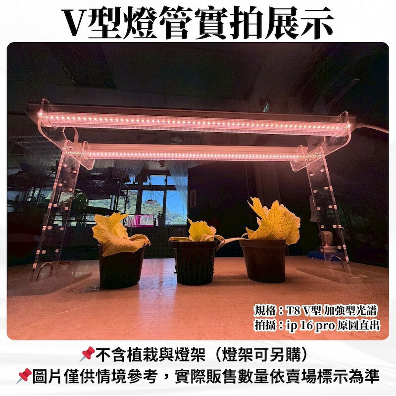 【君沛】V型雙排 40W 高功率 3呎 T8一體式植物燈 加強型光譜 抑制徒長 龍舌蘭 多肉 塊根控型 層架補光 免燈座, , large