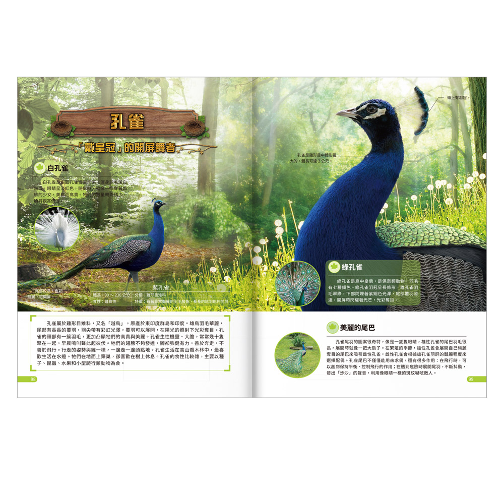 [風車圖書] 動物大百科, , large