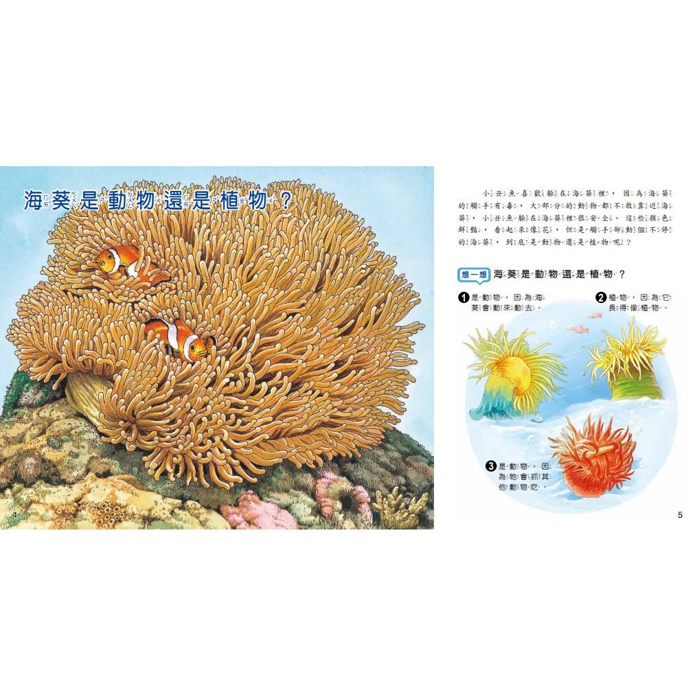 [小牛頓]WOW原來是這樣QRCode版(共10冊) 適合5-8歲 平裝全彩 大字注音圖解百科, , large