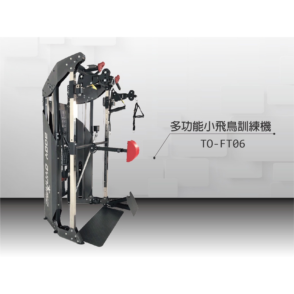 【德旺健身器材】 TO-FT06 多功能小飛鳥訓練機, , large