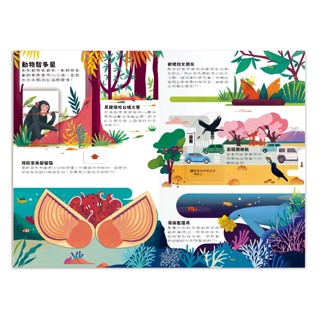 [禾流文創]小小知識家動手大發現 海盜AMAZING, , large