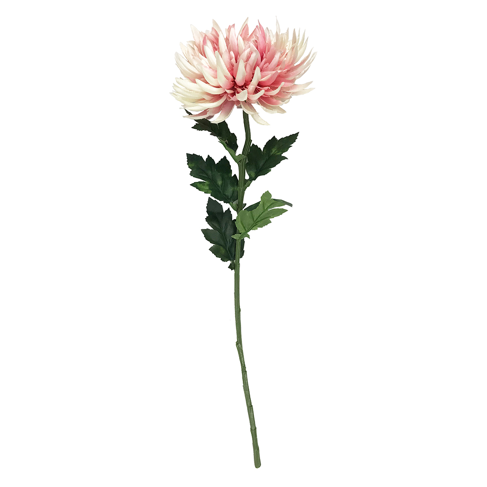 【YU Living】仿真裝飾大菊花 人造花枝-淺粉, , large