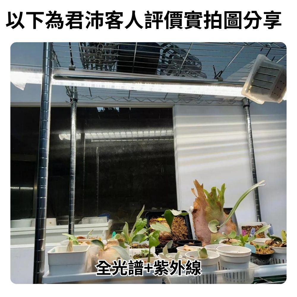 【君沛】UV紫外線 4呎 50W 防水植物燈 全光譜 三防燈 LED生長燈 多肉顯色 龍舌蘭 控養防徒長 大型植物架補光, , large