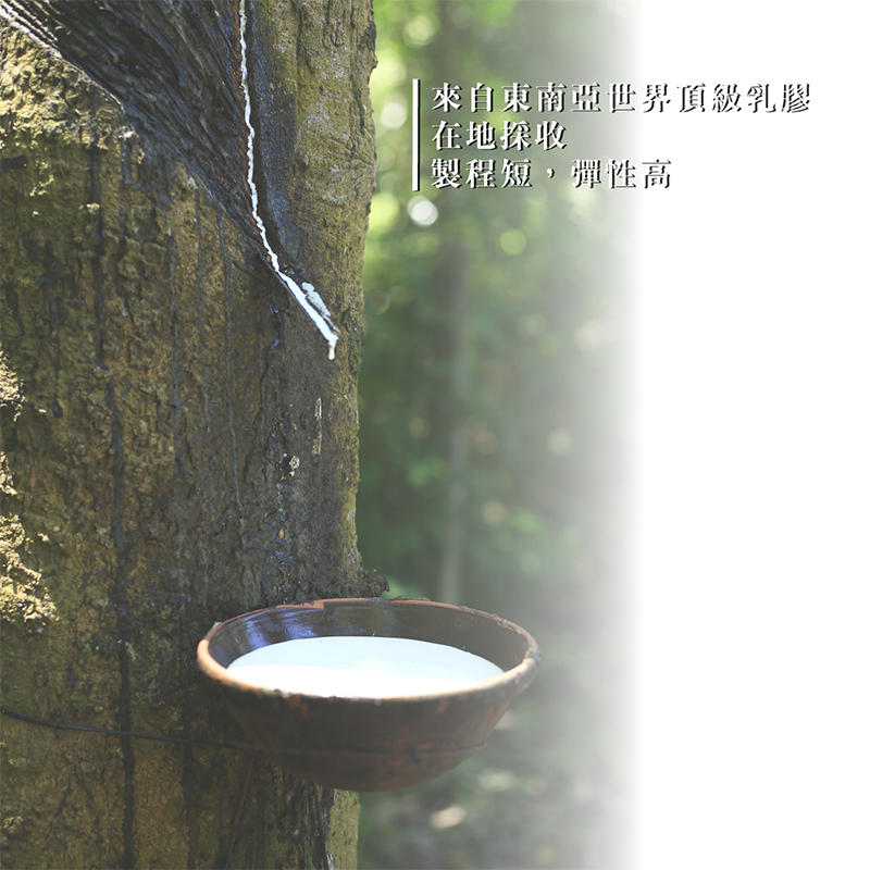 ［熊棉］自然呵護乳膠健康枕｜1入｜乳膠 無毒 最划算 斯里蘭卡乳膠 天然乳膠 健康, , large