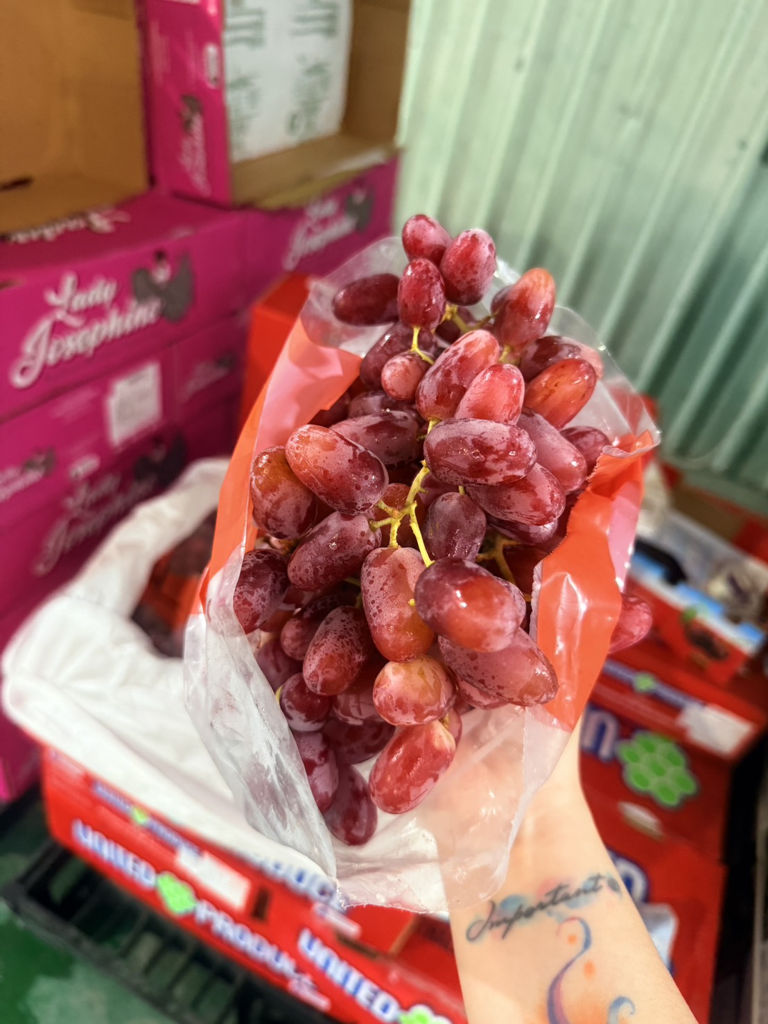 【3包優惠588 】[芯鮮果]澳洲進口( 糖脆紅無籽葡萄 ), , large
