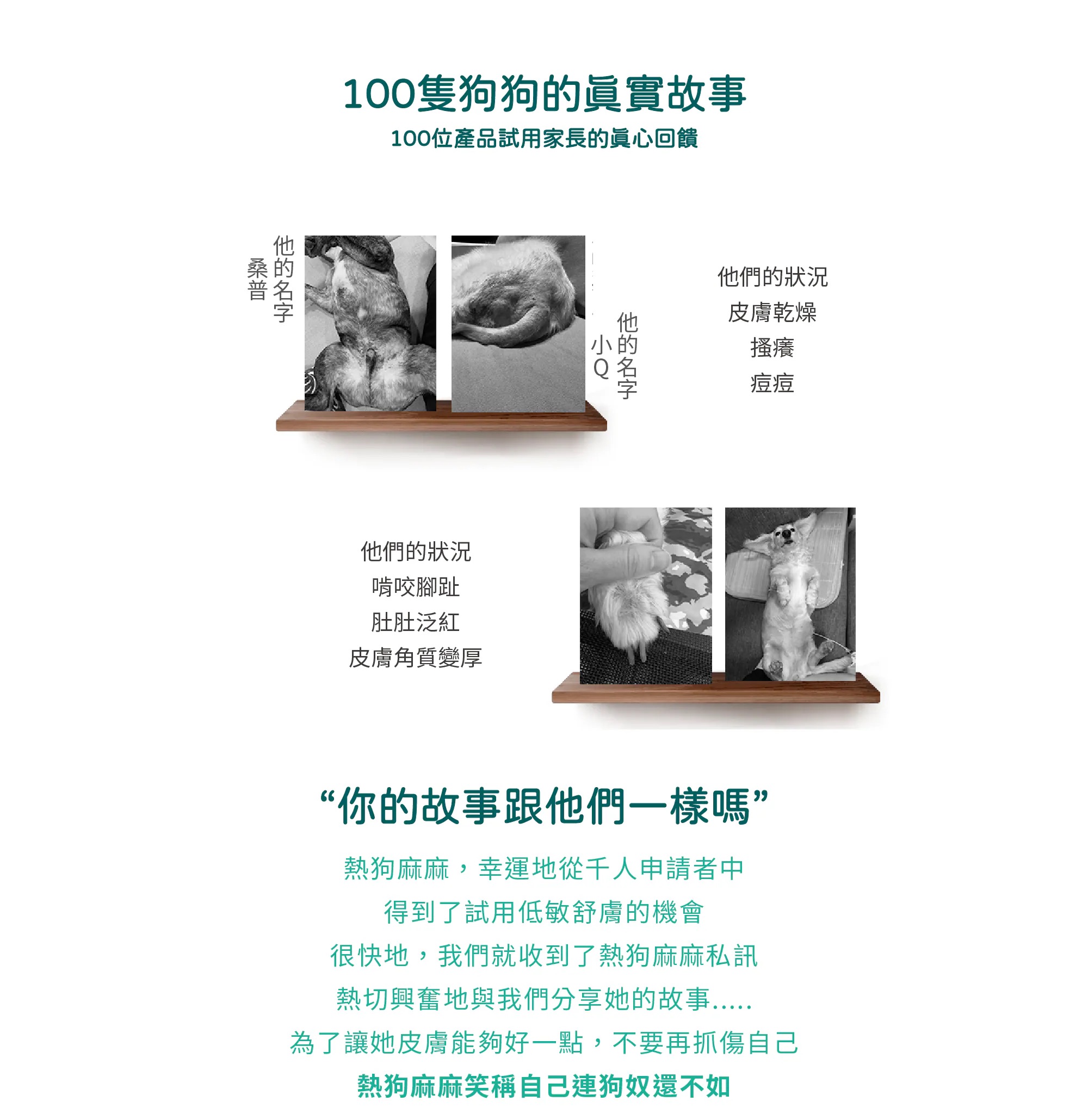 【HALO 嘿囉】21磅 全齡犬 低敏舒膚 豌豆燉鷹嘴豆/海藻修復配方 狗飼料 狗糧(犬糧/狗乾糧), , large