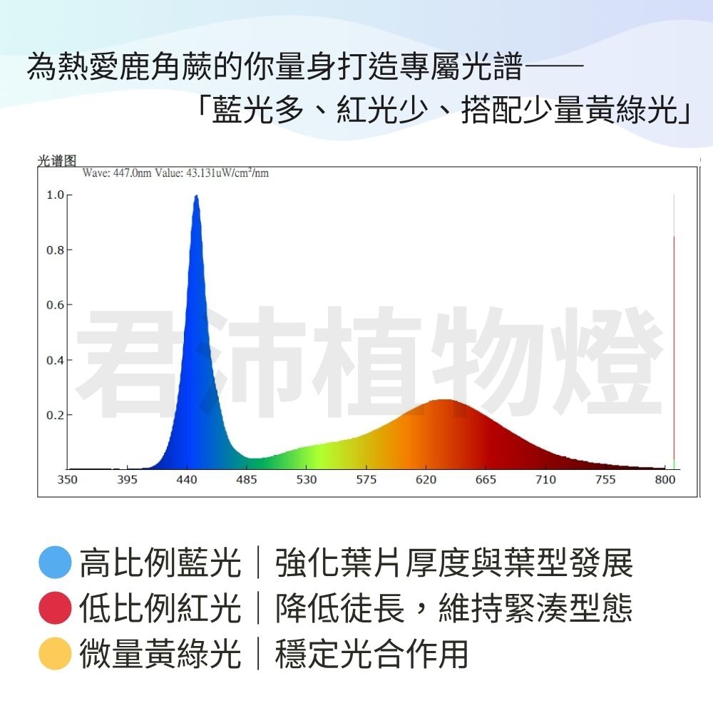 【君沛】7號光譜抑制徒長燈板 20W 藍光強化 磁吸式植物燈 鹿角蕨控養 龍舌蘭 塊根 縮刺 專業補光, , large