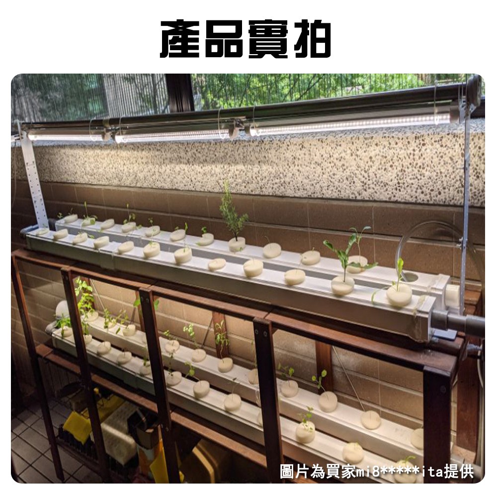 【君沛】4呎 T8植物燈管 25W 全光譜 觀葉植物 鹿角蕨 葉菜類室內菜園 抑制徒長 還原原色 自然光 大型層架補光, , large