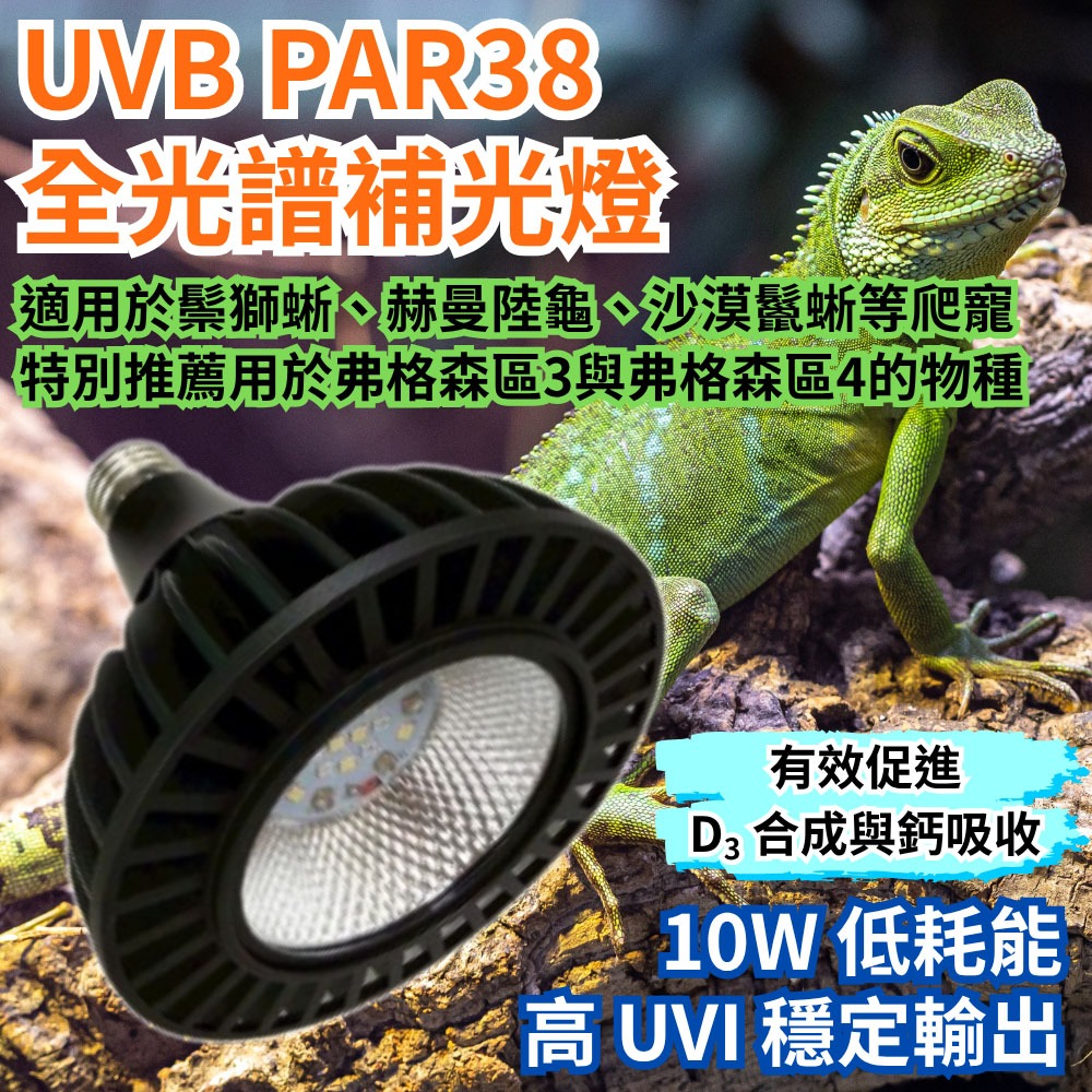 【君沛爬蟲燈】UVB 爬蟲燈 PAR38 10W｜高 UVI LED 補光燈 適用鬃獅蜥 沙漠鬣 赫曼陸龜 烏龜 蜥蜴, , large