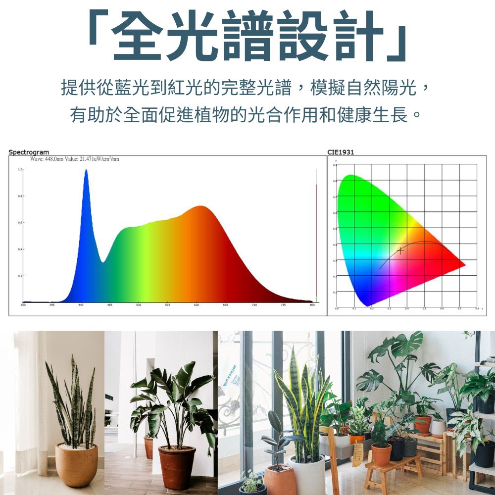 【君沛】40W 全光譜 植物燈 抑制徒長 模擬日照 龍舌蘭控型 塊根植物 鹿角蕨 龜背芋 吊掛式 E27專業生長燈, , large