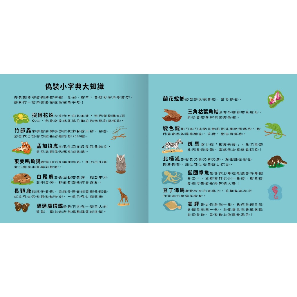 [禾流文創]登登登！透光Show 動物的偽裝術！, , large