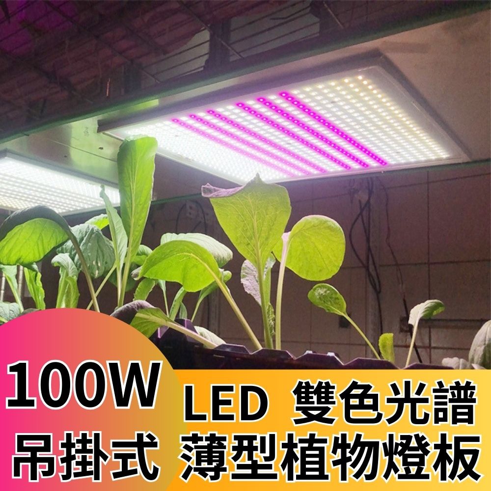 【君沛植物燈】LED植物燈 100W薄型植物燈板 100W 吊掛式植物燈 雙色光譜設計 有助於提高栽培效率和作物質量, , large