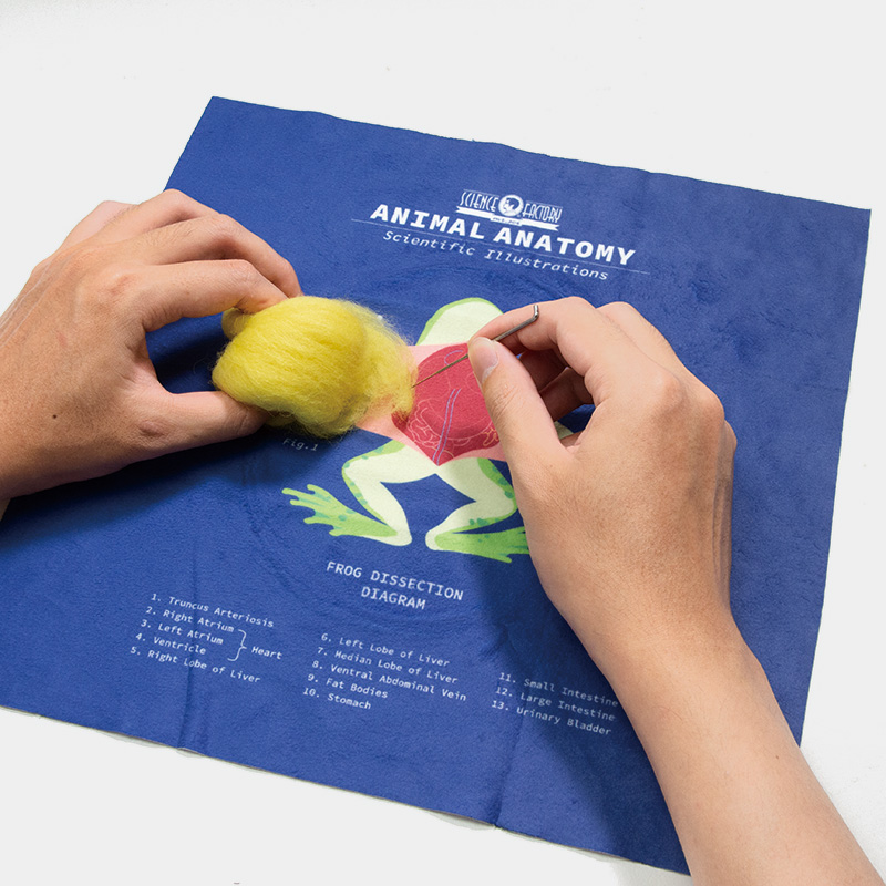 After School - DIY Anatomy Needle Felt Painting Kits, , large