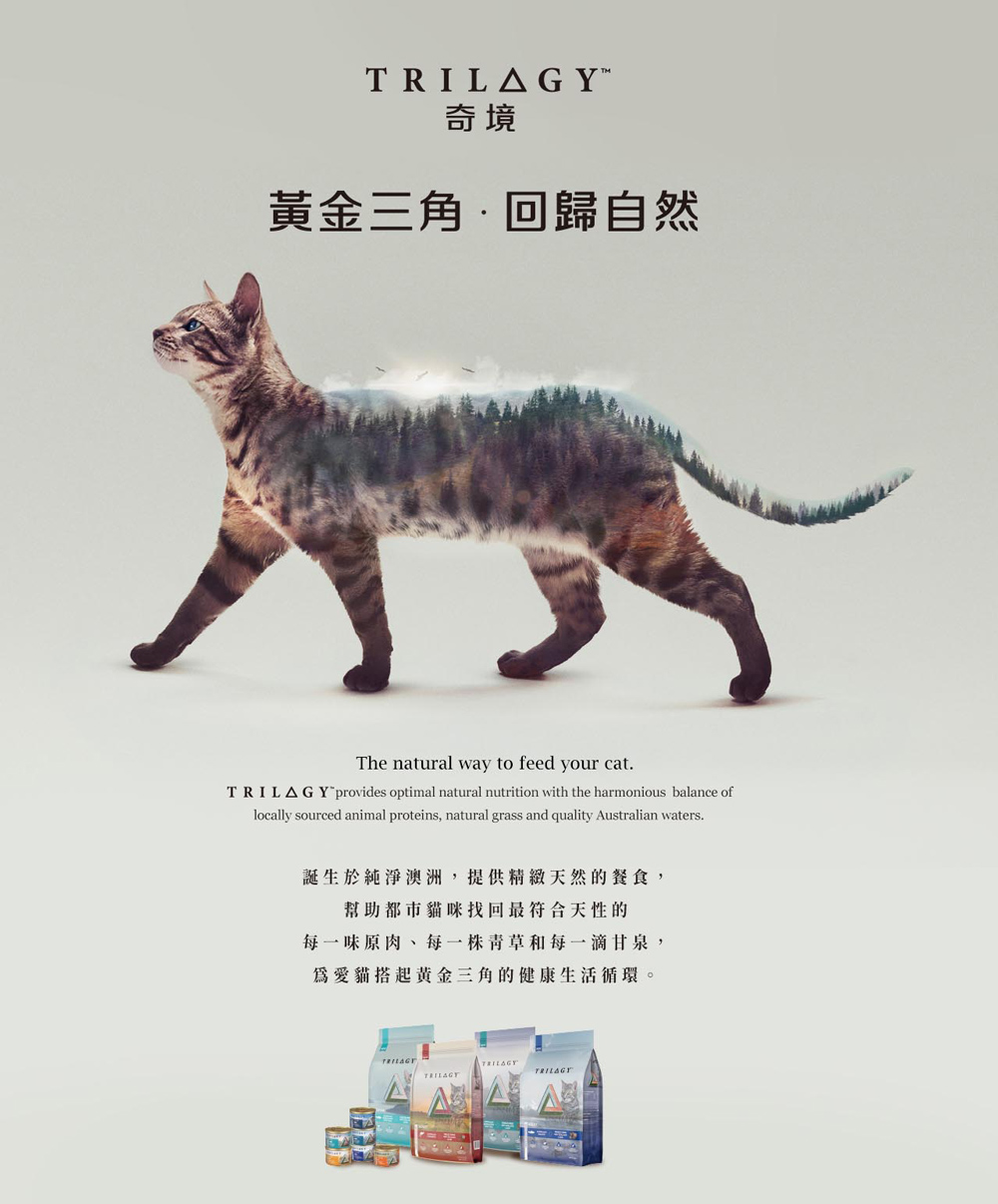 【TRILOGY奇境】幼貓 成貓 無穀燉雞湯 貓罐頭55gX24罐, , large