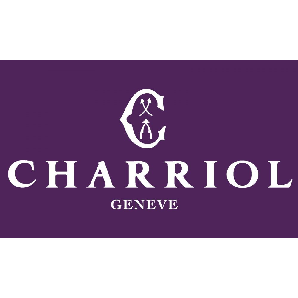 CHARRIOL 夏利豪 Foreve Minis necklaces 鋼索項鍊 08-104-1139-40, , large