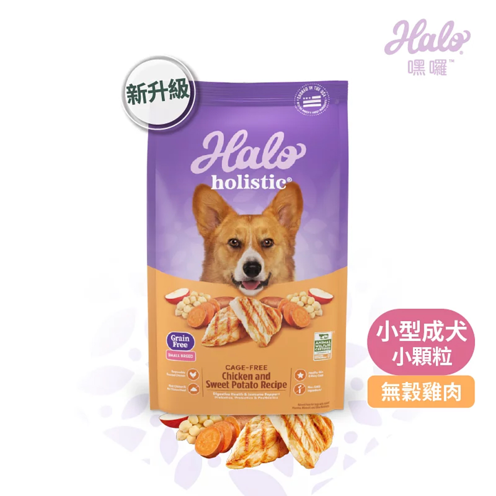 HALO, , large