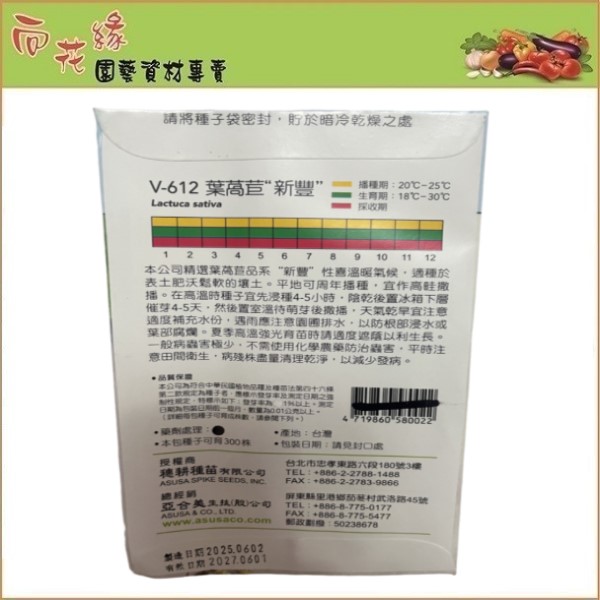 【向花緣】天星牌  葉萵苣新豐  - 蔬菜種子, , large