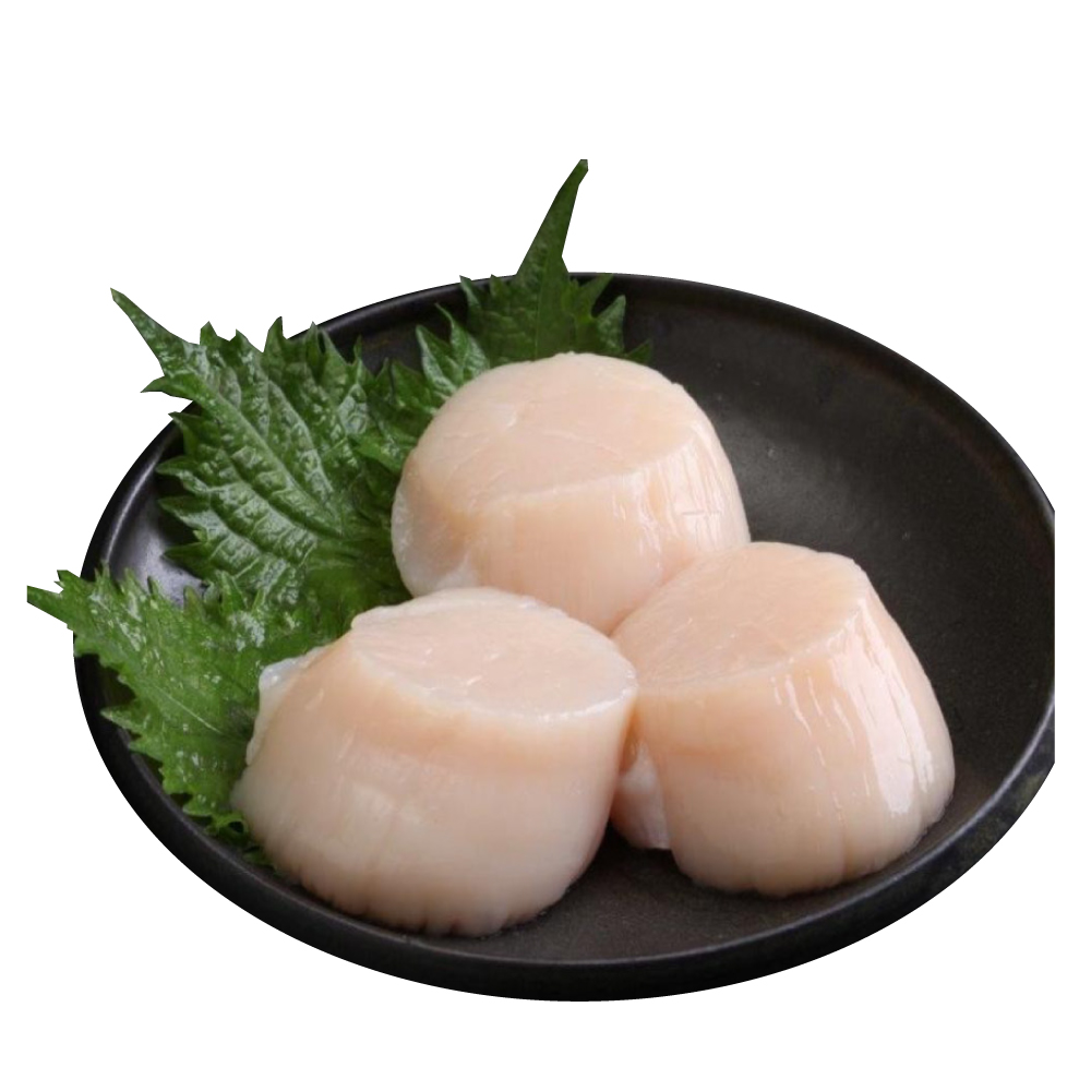 Wild-Caught North Sea Large Scallops, , large
