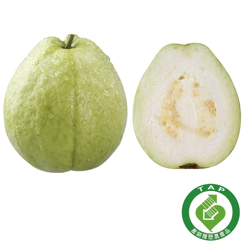 TAP Pearl Guava/bag, , large