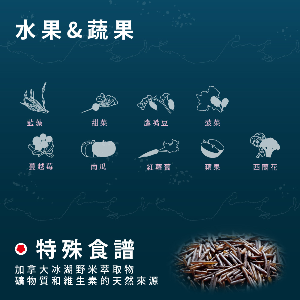 【Allando 奧藍多】無榖貓糧全魚宴2.27KG(全齡貓/貓飼料/貓糧), , large