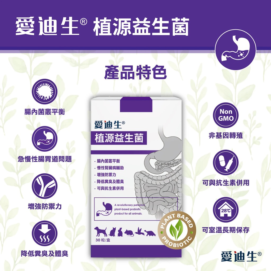 【PawHomie】愛迪生Addison 植源益生菌, , large