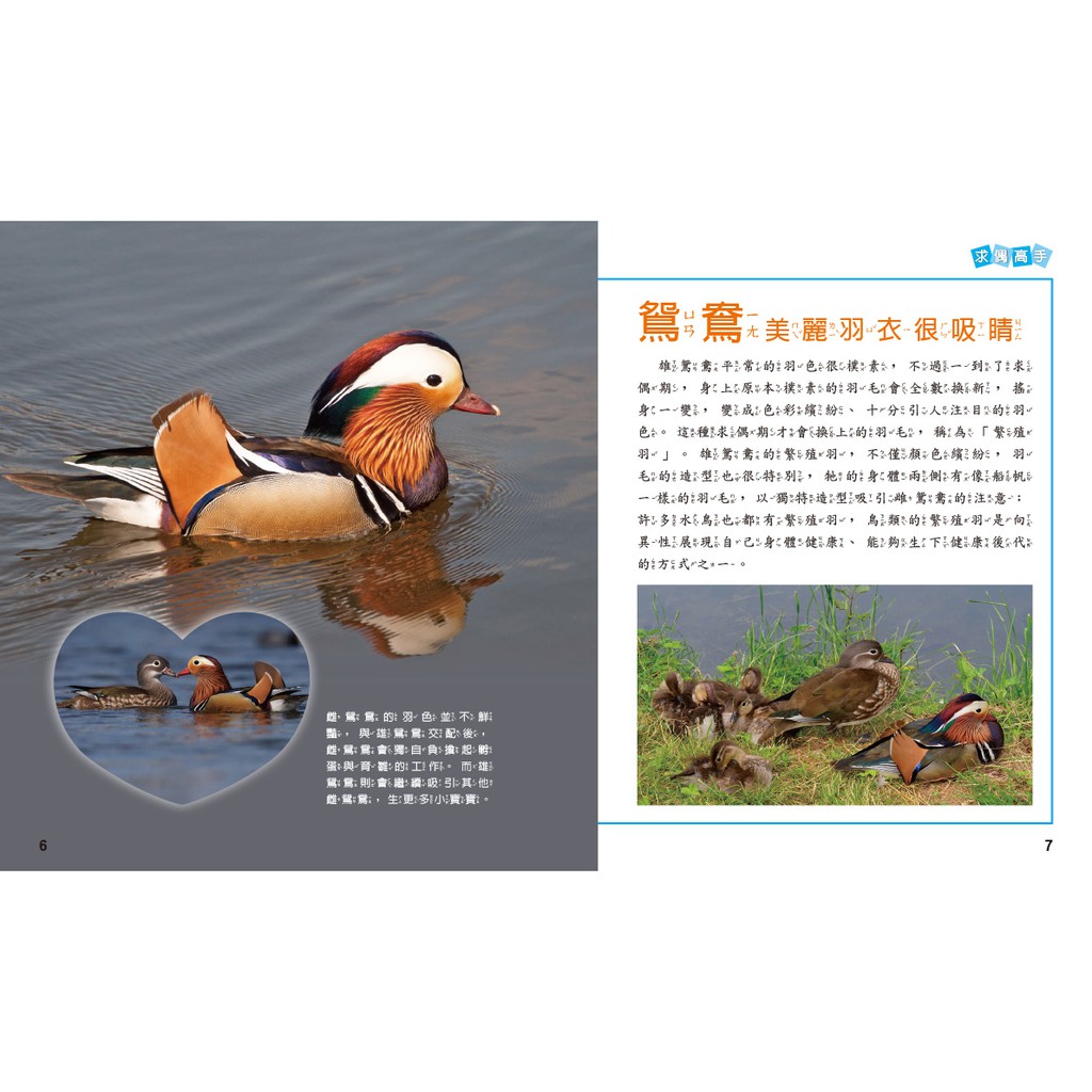 [小牛頓]動物生存高手：就是要傳宗接代 適合9-12歲 精裝全彩 高清照片搭動物影片, , large