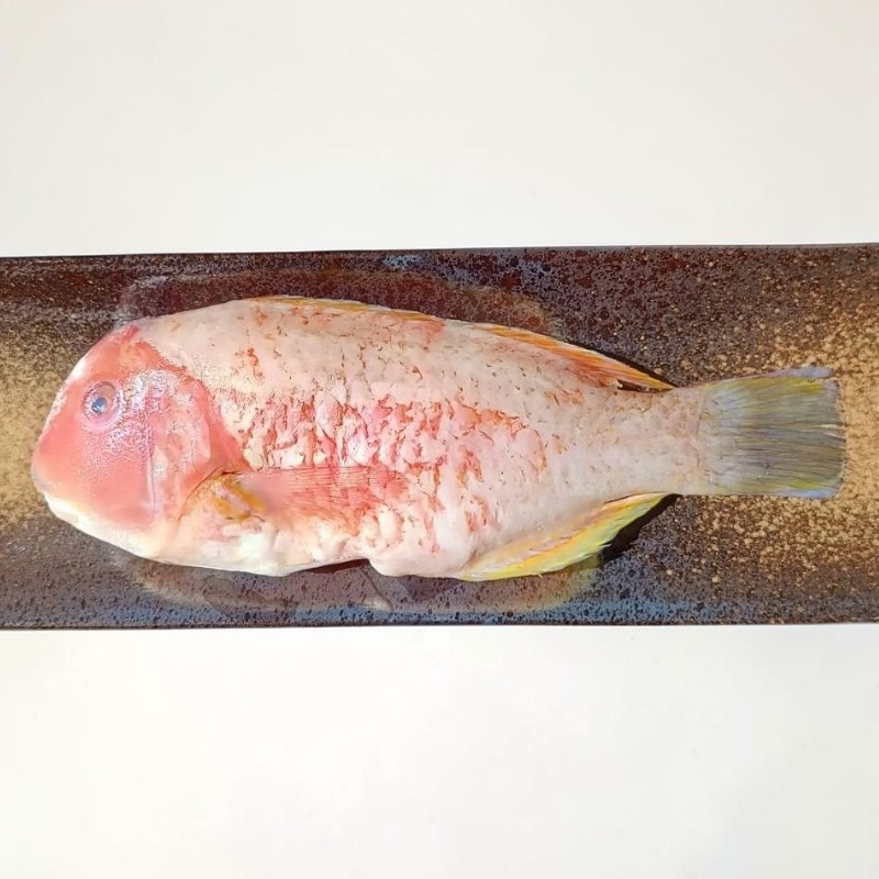 【一夫水產】澎湖野生紅石老, , large