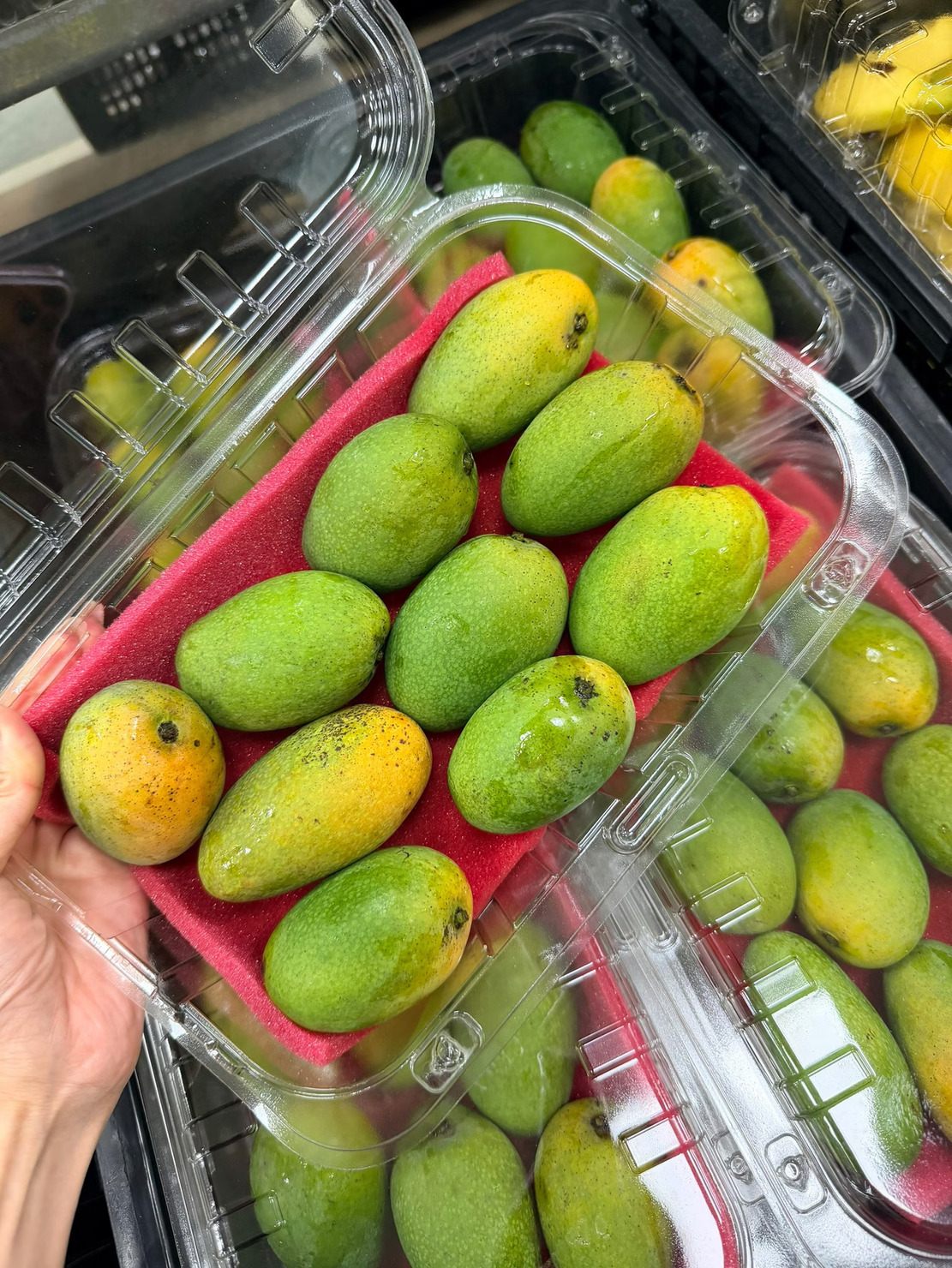 Native Mango, , large