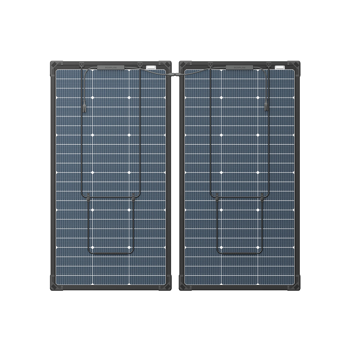 EcoFlow 125W 雙面太陽能板(2片), , large