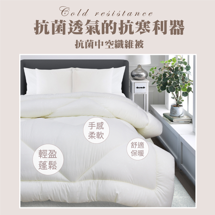 【多利寶寢具】Indian_壓花舒柔抗菌中空纖維被/棉被胎, , large