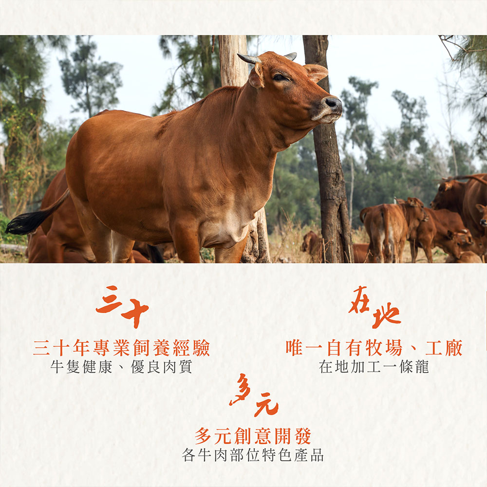 預購【良金牧場】XO醬牛肉粽2盒(180gx5顆/盒)(免運費), , large