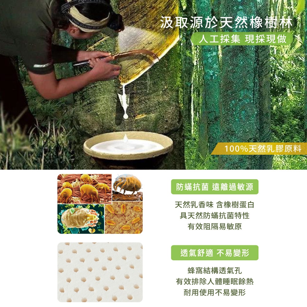 【Arnold Palmer雨傘牌】台製雙人特大6X7尺5cm 防蟎抗菌 天然乳膠床墊, , large