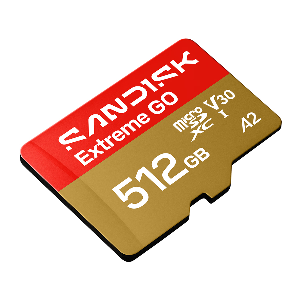 SanDisk microSD card, , large