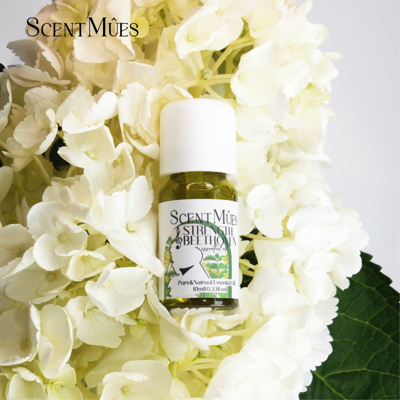 Strength Beethoven essential oil, , large