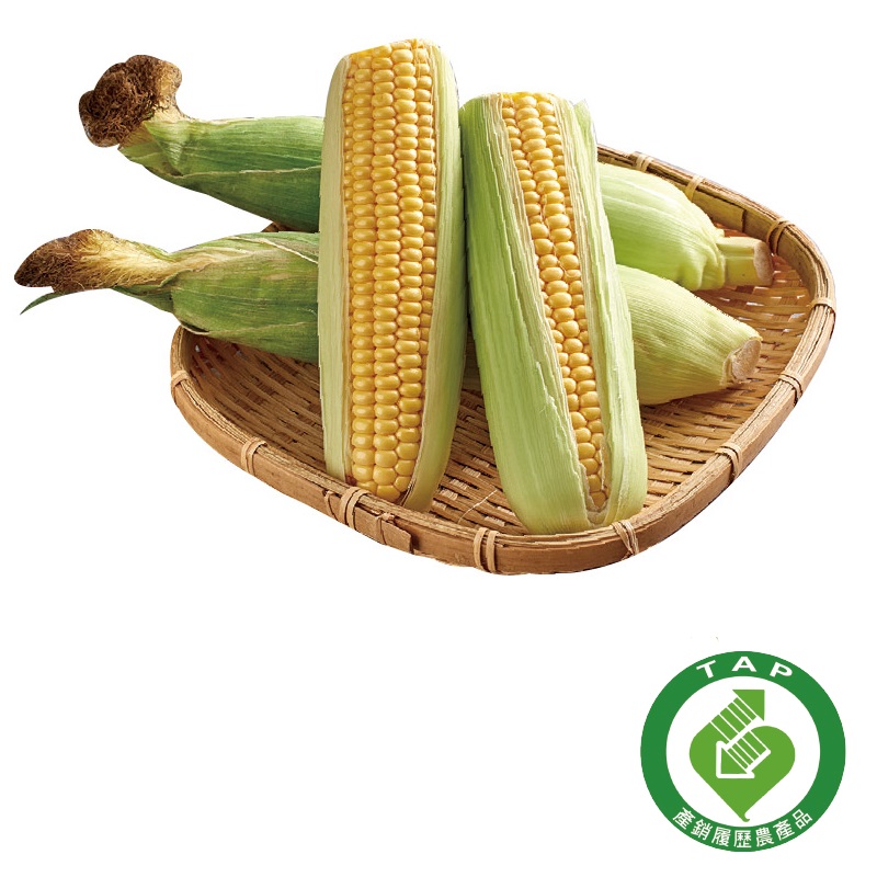 TAP Corn, , large