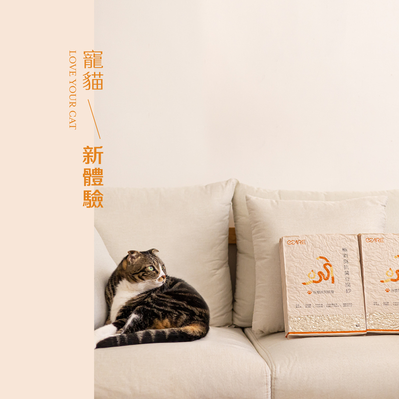[ChiChrngTek]O-Care Oyster Shell Tofu Cat Litter(36 bags), , large