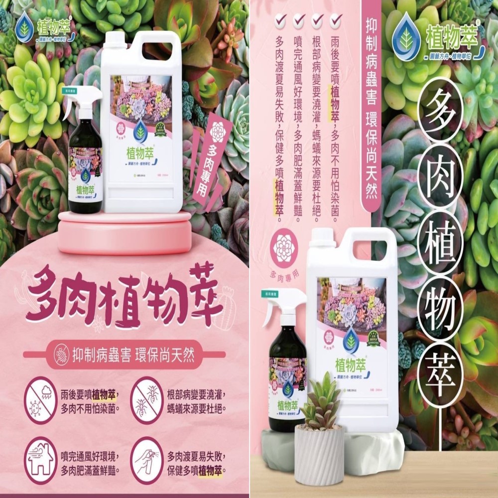【向花緣】天然病蟲害植物保護劑 植物萃系列補充桶 多肉專用 - 2000ml, , large