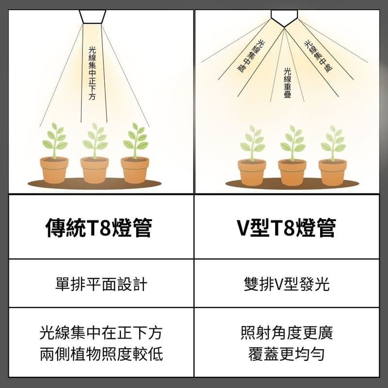 【君沛】V型雙排 40W 高功率 3呎 T8一體式植物燈 加強型光譜 抑制徒長 龍舌蘭 多肉 塊根控型 層架補光 免燈座, , large
