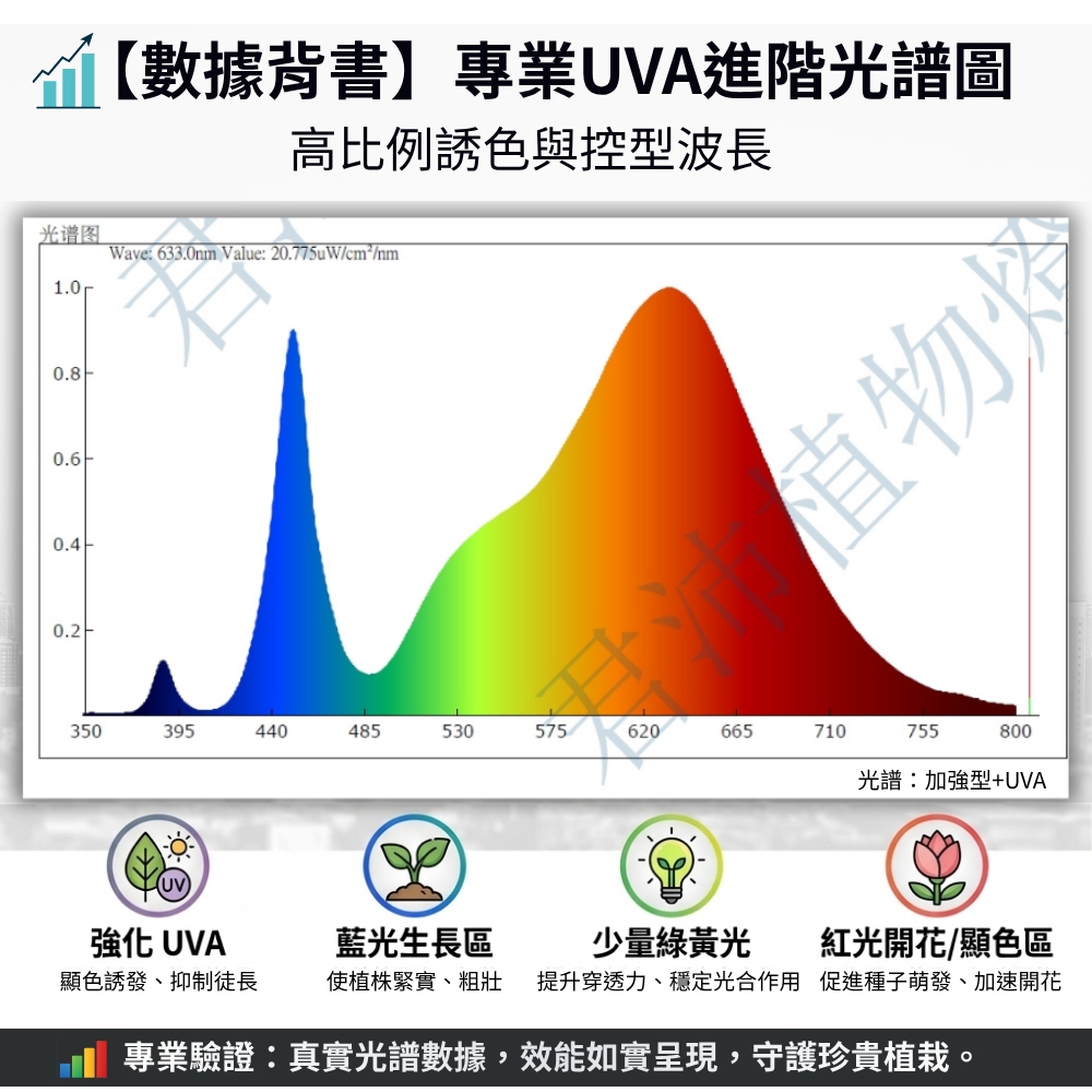 【君沛】100W加強型UVA 專業生長燈 誘導上色 抑制徒長 壓鑄投射燈 防水防潮 龍舌蘭 多肉顯色, , large