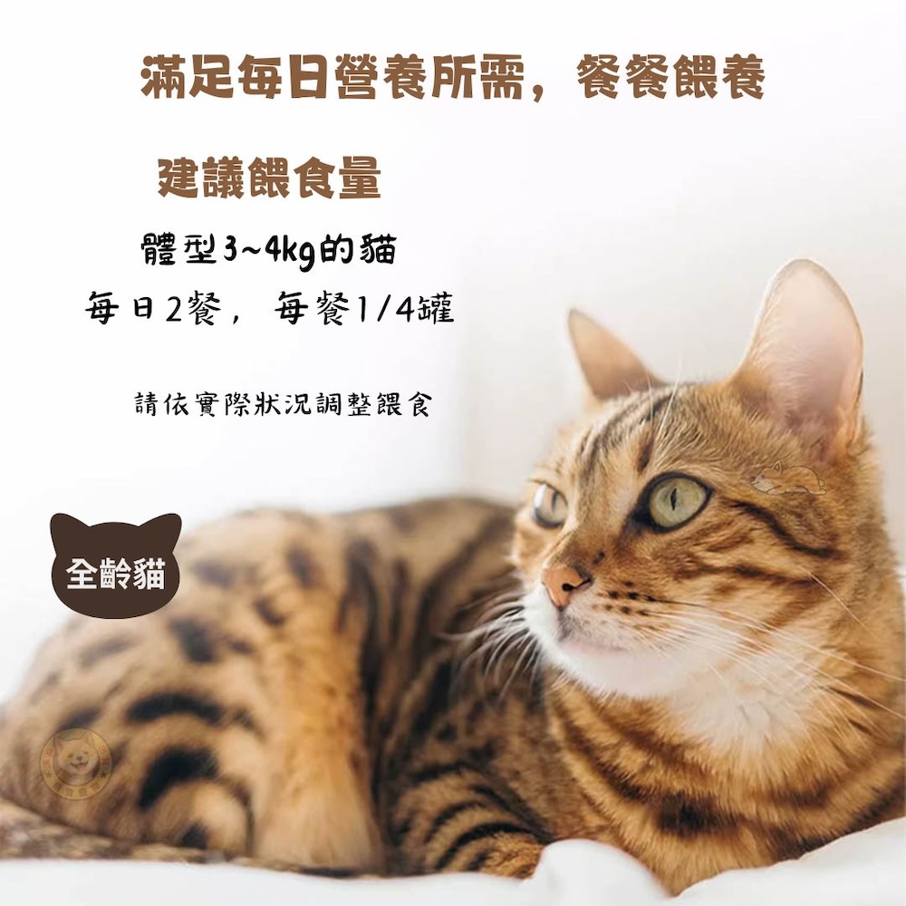 【喵Bar】全能貓餐罐 貓罐頭 紅肉罐170g x 48入, , large